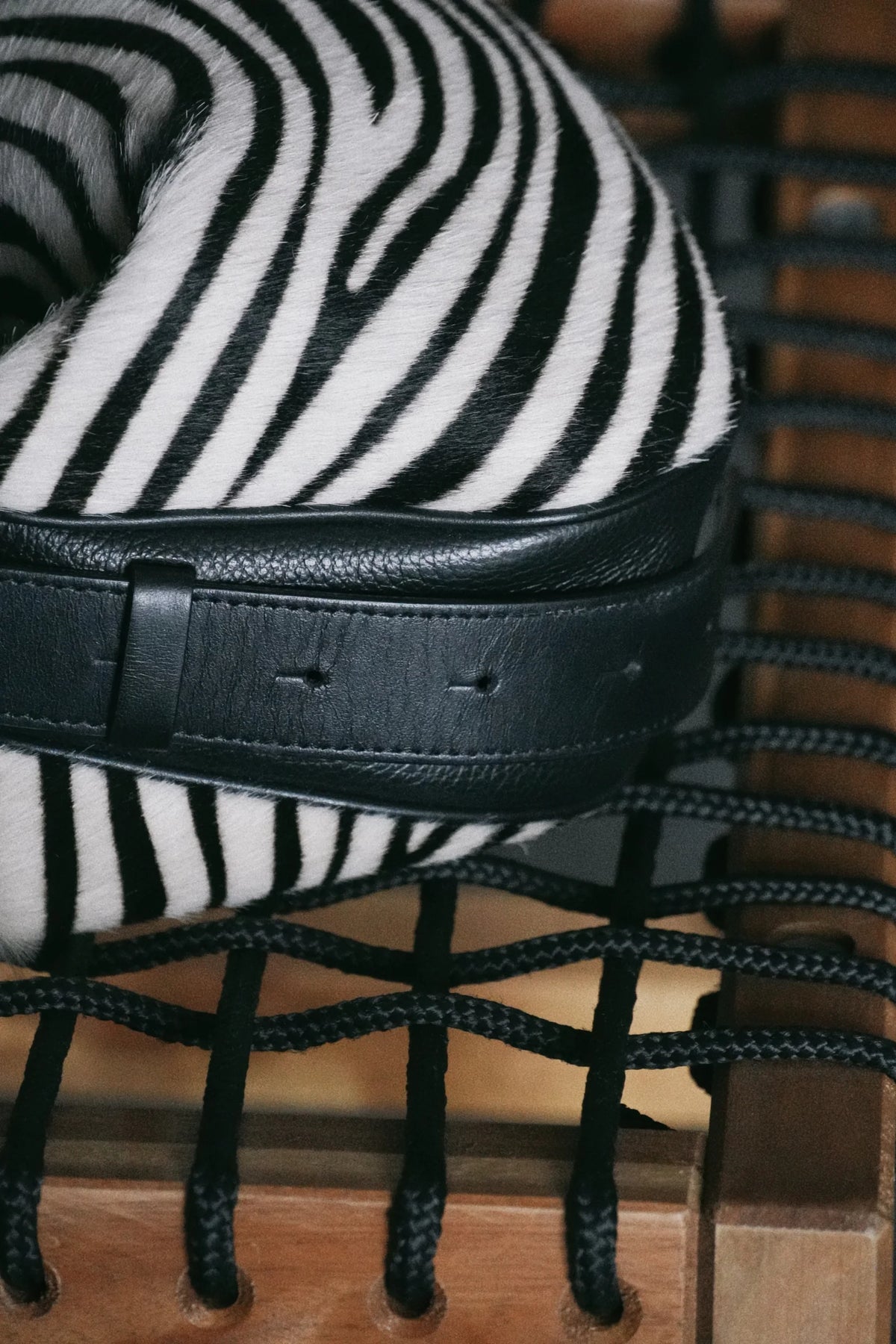 OLIVIA Small Zebra