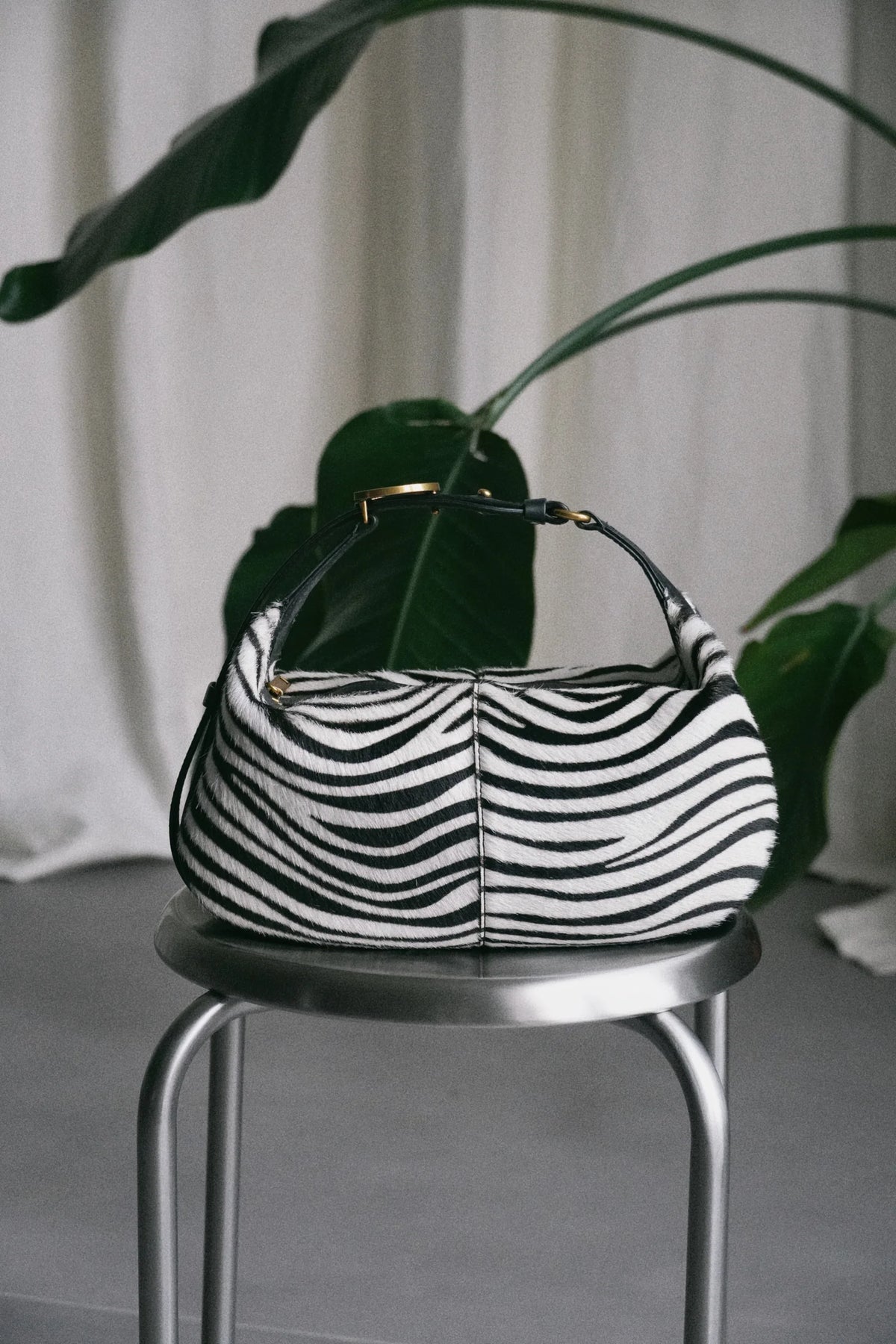 OLIVIA Small Zebra