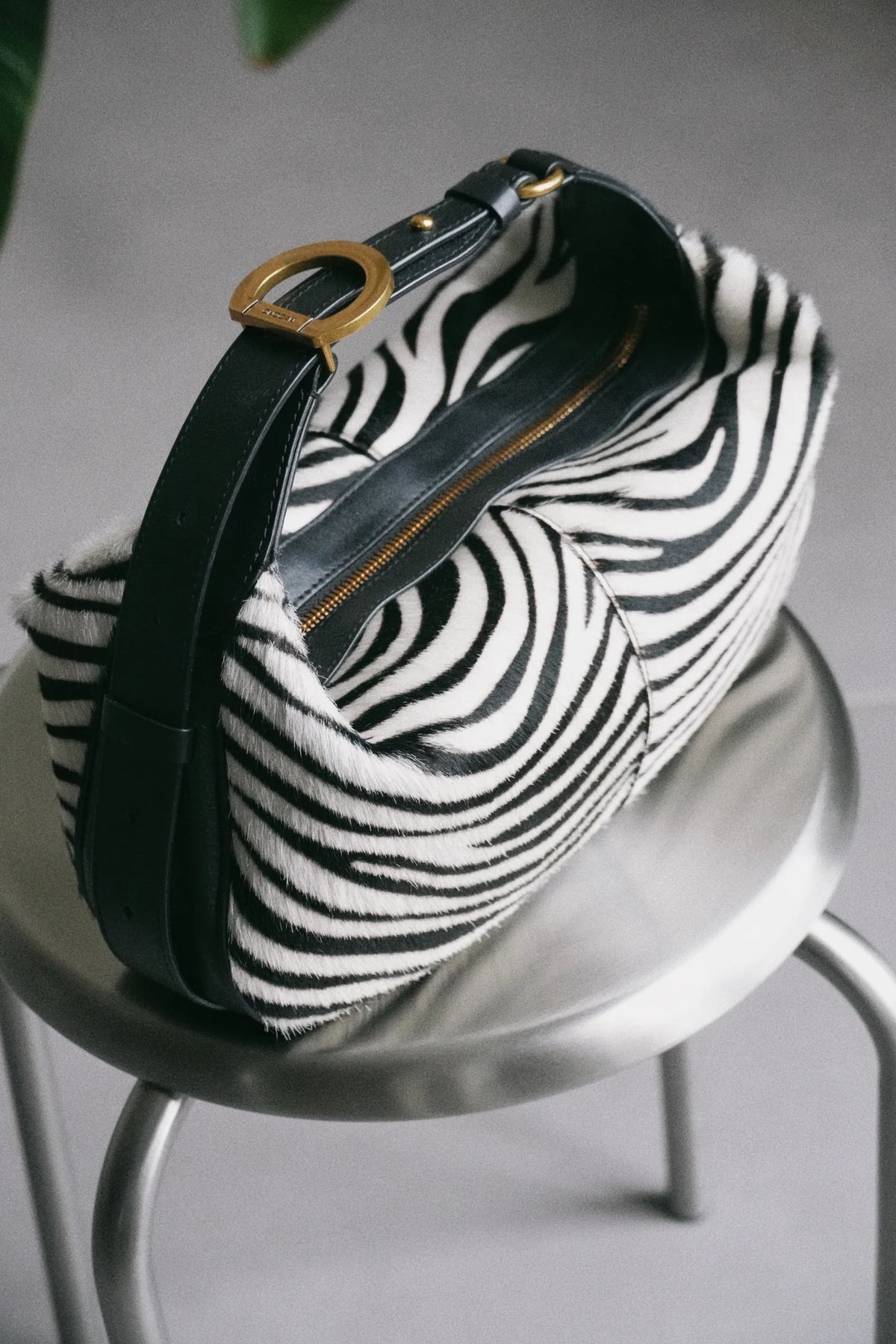 OLIVIA Small Zebra